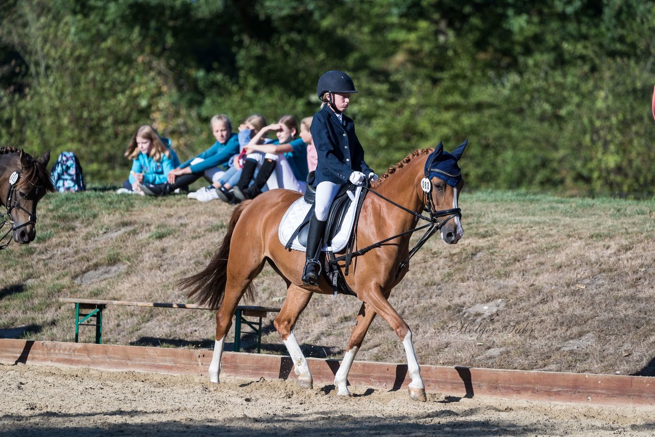 Bild 45 - Pony Akademie Turnier